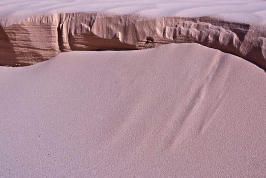 Coral pink sand ridges in Mojave Desert