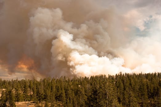 Fire rages in Antelope Creek Yellowstone