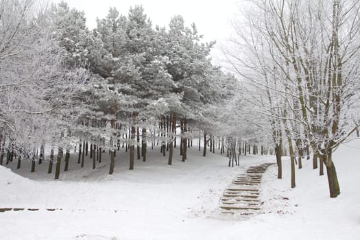 urban park in winter