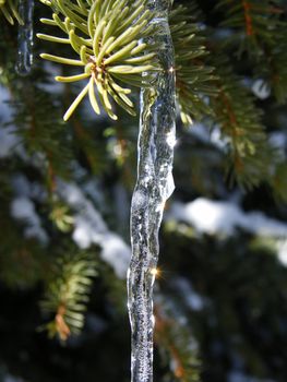 sunlight reflected in the ice