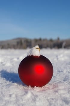 a red bauble in snowy landscape at winter