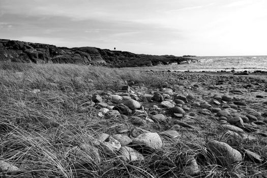 Black and white picture of straws and rocks