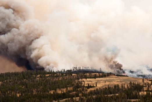 Antelope Creek forest fire rages out of control in Yellowstone
