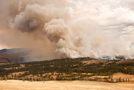 Fires intensify in Yellowstone forests