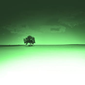 lone tree with art effect and copyspace