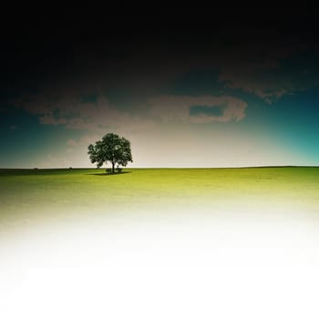 lone tree with art effect and copyspace