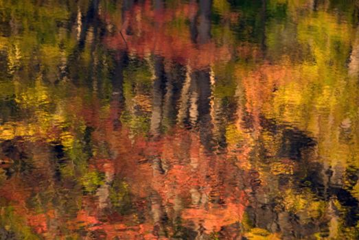 Autumn foliage reflections on  steram of water