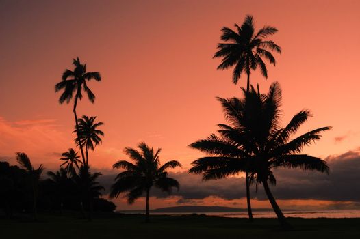 A gorgeous sunset at Mauii hawaii