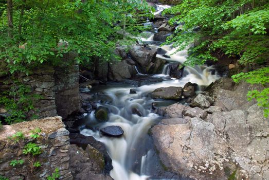 Beautiful serpentine stream amidst the dense woods