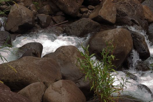 A stream of water gushing through the mountains