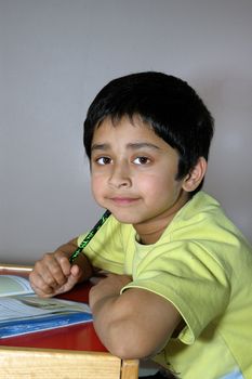 An handsome Indian kid doing home work