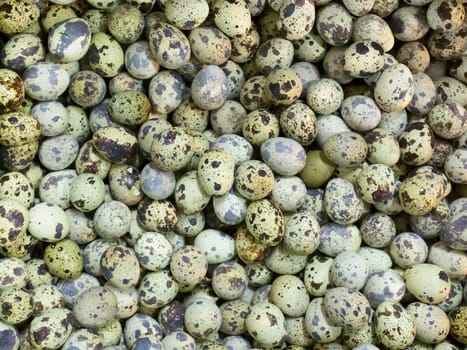 close up of a heap of quail eggs