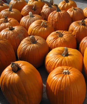 Pumpkins for sale at market during the fall