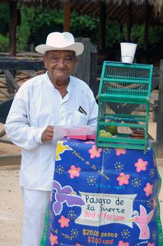 A fortune teller uses parrot to tell your fortune