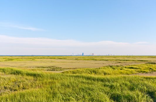 The Atlantic City, New Jersey skyline. The foreground is a marsh with green grass (Forsythe Nature Reserve).