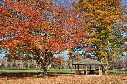 A wooden Gazebo in a park with surrounding trees showing fall foliage. Photo was taken in historic Allaire Park in New Jersey, USA.