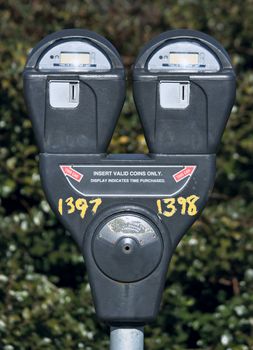 Parking meter with bush in the background