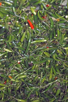 Freshly picked green chillies ready for sale