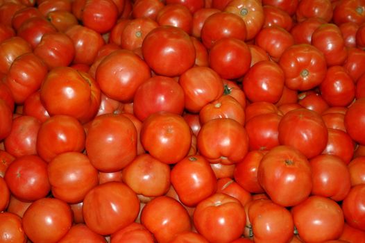 Fresh ripe tomatoes ready for sale after an harvest