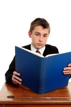 A student reading or studying a textbook.  