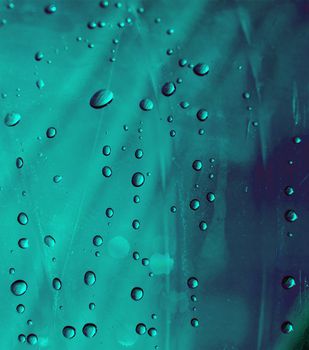 Many small water droplets on a bluish green surface