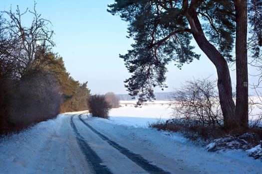 Snowy road between the trees during wintertime
