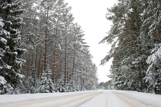 country road in snow