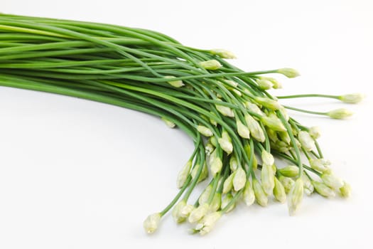 Chives flower on white background