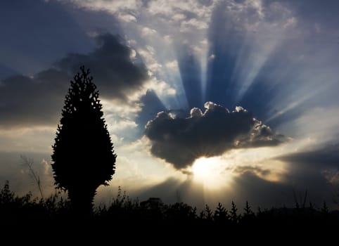 Image of sun shine through rain cloud and christmas tree silhouette