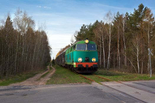 Passenger train hauled by the diesel locomotive passing the forest
