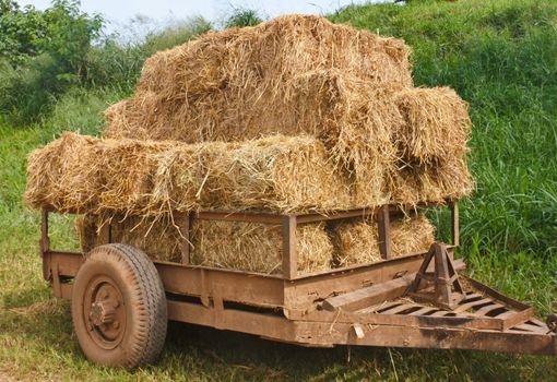 Hay wagon is piled high with fresh cut hay or straw