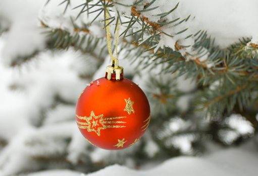 christmas decoration on fir branch outdoors
