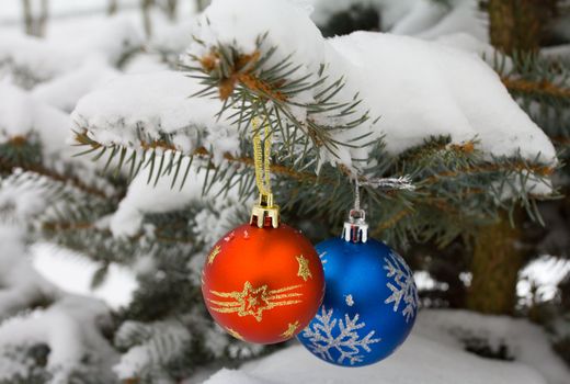 christmas decorations on fir branch outdoors