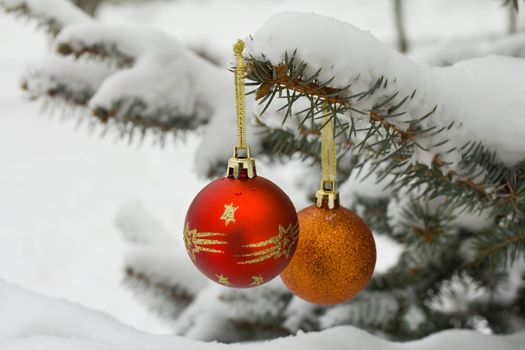 christmas decorations on fir branch outdoors