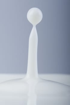 Close-up of drop of milk