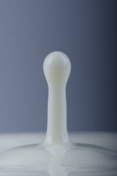 Close-up of drop of milk