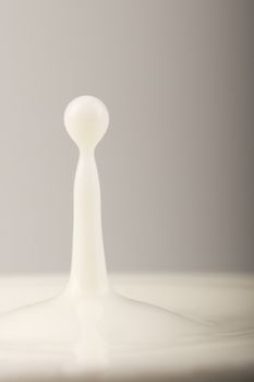 Close-up of drop of milk