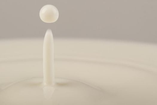 Close-up of drop of milk