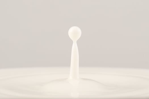 Close-up of drop of milk