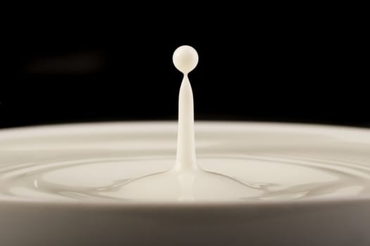 Close-up of drop of milk