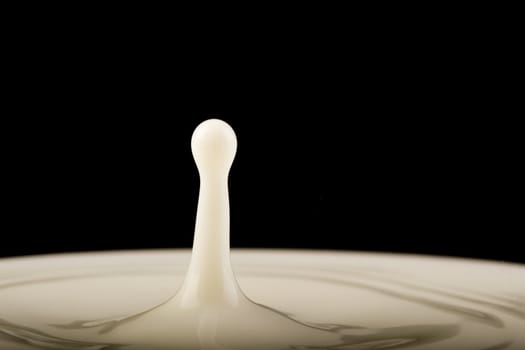 Close-up of drop of milk