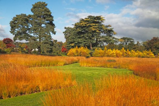 Autumn prairie grasses in a Staffordshire garden in England.
