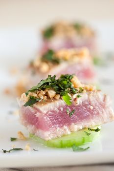 Delicious and healthy appetizer with fresh tuna, peanuts and herbs