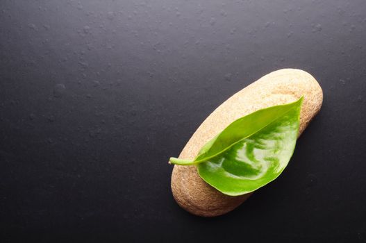 zen or spa still life on black with grean leaf and copyspace