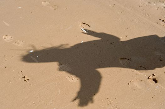 Shadow of woman with feather in her hand in beach at the Baltic sea