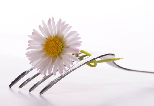 food concept with flower and fork on white table in summer