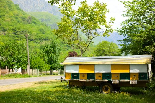Yellow rural hive set for bee colony summer day 