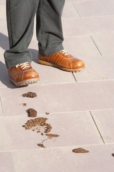 Innocent pedestrian about to tread in a heap of dog shit