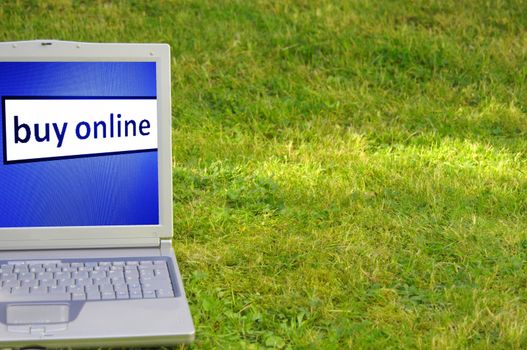buy online or ecommerce concept with laptop in green grass