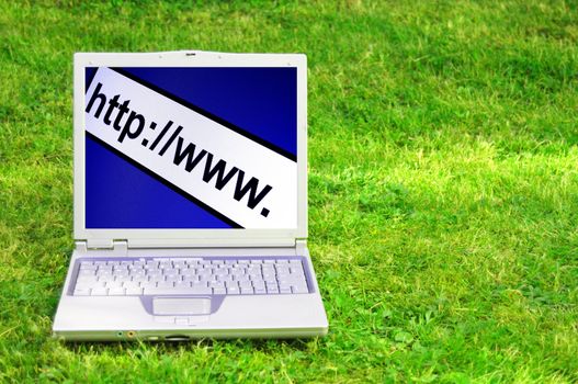 internet www or online concept with laptop in green grass